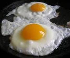 EGG / முட்டை