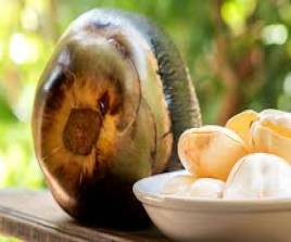 COCUNUT